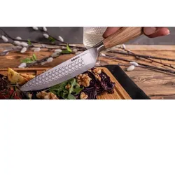 Gastronoble Boska Steakmesser Oslo+ - 12 Messer - durchgehende Klinge