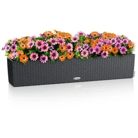 LECHUZA Balconera Cottage 100 99 x 19 x 19 cm Granit