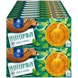 Captains Tea Pfefferminztee 56,25 g, 16er Pack