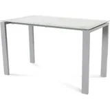 Rocada Schreibtisch Total BxTxH 120x60x73cm Gestell grau Platte Glas satiniert.