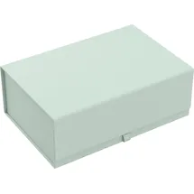 Semikolon Aufbewahrungsbox 23,5 x 35 x 13 cm 1-tlg. grün