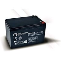 Q-Batteries Akku Satz 36V Batterien für E-Scooter SXT 1000