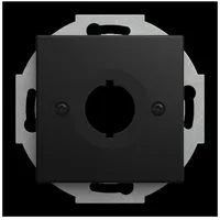 Busch-Jaeger Zentralscheibe 2534-915