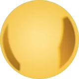 Selva Pendelscheibe 140mm / 19 x 6mm