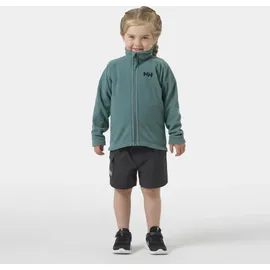 HELLY HANSEN Daybreaker 2.0 Fleecejacke Opal Grün 86
