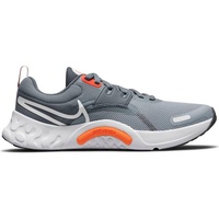 NIKE Herren Laufschuhe Renew Retaliation TR 3, WOLF GREY/WHITE-COOL GREY-TOTA, 44 1⁄2