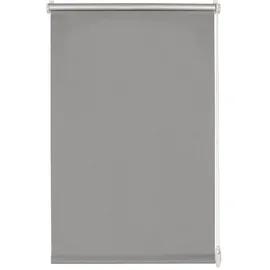GARDINIA Seitenzugrollo 100 x 150 cm grau