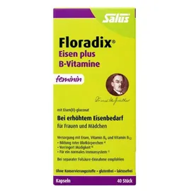 SALUS Floradix Eisen plus B-Vitamine Kapseln