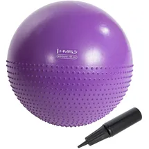 OEM yb03 Neu 55cm violett Gymnastikball HMS
