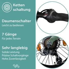 Tretwerk Akimbo Plus 2023 20 Zoll RH 32 cm Unisex grün