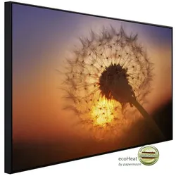 papermoon Infrarotheizung »EcoHeat - Goldener Sonnenuntergang Löwenzahn«, Matt-Effekt - bunt