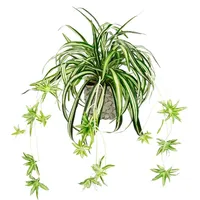I.GE.A. Kunstpflanze Wasserlilie Wasserlilie, I.GE.A., Höhe 35 cm, im