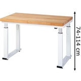 Rau Werkbank adlatus 600 elektrisch höhenverstellbar Buche-Massiv-Platte 1250 mm x 700 mm