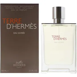 Hermès Terre d'Hermès Eau Givrée Eau de Parfum 100 ml