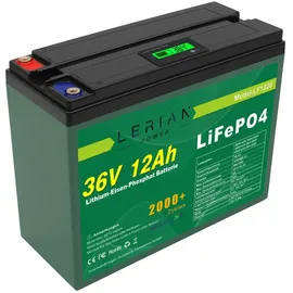 Lerian Power LiFePO4 Akku 36V 12Ah 0,432 kWh