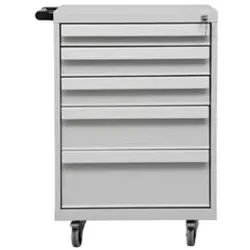 PROREGAL Werkstatt-Wagen Grizzly | 5 Schubladen | HxBxT 84x56x60 cm | Grau