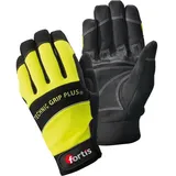 Fortis Größe:8