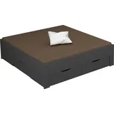 Rauch Stauraumbett RAUCH "Aditio", grau (graumetallic), B:186cm H:50cm L:208cm, Betten, Stauraumbett, ohne Kopfteil, inklusive Schubkästen