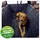 Kleinmetall Allside Comfort Hundedecke Autoschondecke Schwarz 155 x 140 x 50 cm