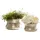 Loberon Vase 2er Set Riona - antiksilber