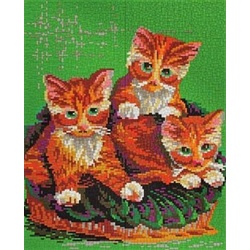 Stick it Steckpuzzle Katzenbabys, 10000 Puzzleteile, Bildgröße: 66 x 53 cm