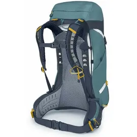 Osprey Sirrus 26 succulent green