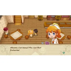Story of Seasons Friends of Mineral Town