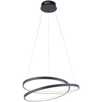Paul Neuhaus LED-Pendelleuchte Roman Alu, Eisen, Stahl & Metall