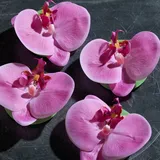 DPI Orchideen Blüte Schwimmend Pink 11 cm 4 Stück in der Box Künstliche Orchideen