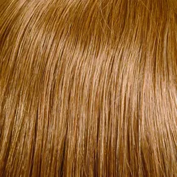 Belle Madame Haarteil Bordeaux - Echthaar Clip-In Topper