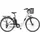 Telefunken Multitalent RC822 28 Zoll RH 48 cm weiß inkl. Fahrradkorb