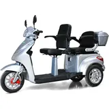 Efun ECO ENGEL 503 Silber, 25 km/h Li-io Akku,