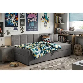 s-style möbel Lenny Tagesbett 90 x 200 cm grau