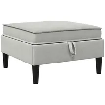 vidaXL Sitzhocker mit Stauraum 40 x 40 x 40 cm Hellgrau Samt