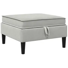 vidaXL Sitzhocker mit Stauraum 40 x 40 x 40 cm Hellgrau Samt