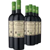 4+2-PAKET Doppio Passo Primitivo – Bio 2022