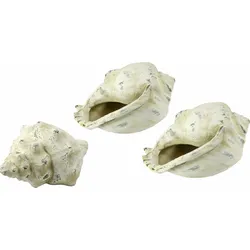 Dekoobjekt I.GE.A. "Keramik-Muschel", beige (natur), B:19cm H:10cm T:12cm, Keramik, Dekofiguren