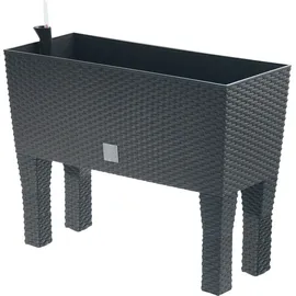 Prosperplast Rato Case High 80 x 33 x 62 cm anthrazit
