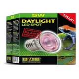 Exo Terra Daylight LED Spot NANO, LED Tageslichtlampe, für den Gebrauch im Exo Terra Reptile Dome Nano, 5W, Fassung E27, Silber, 1 Stück (1er Pack)