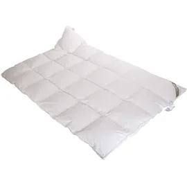 Betten Hofmann Belladream Daunenbett Daunendecke 4x6 135x200 cm 100% Daunen, warme Ganzjahresdecke, Naturprodukt
