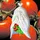 Noor Tomatenvlies Schlauch 0,7 x 10 m
