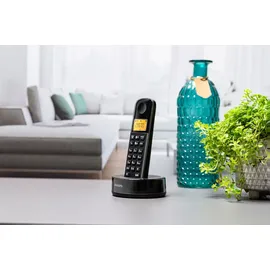 Philips D165B schwarz