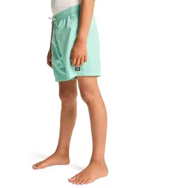 BILLABONG All Day Layback Badeshorts Grün 12