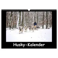 Calvendo Husky-Kalender (Wandkalender 2026 DIN A3 quer), CALVENDO Monatskalender: