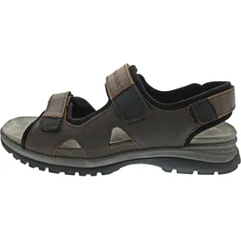 WALDLÄUFER Taro Herren Braun 42