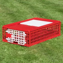 Geflügeltransportkiste, bruchsicher, 2 Türen (95x57x24 cm)