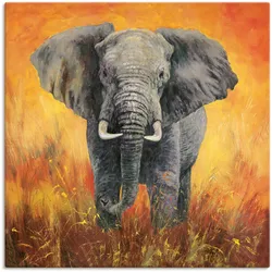 Wandbild ARTLAND "Porträt Elefant", grau (farbe bild(er): grau), B:70cm H:70cm, Bilder, als Alubild, Outdoorbild, Leinwandbild in verschied. Größen