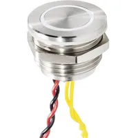 Renkforce RF-4707816 Klingeltaster mit Piezo 1fach Edelstahl, Weiß 24