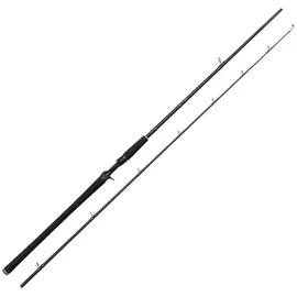 Westin W2 Powercast-T 7'9"/233cm 3XH 60-150g Baitcastrute