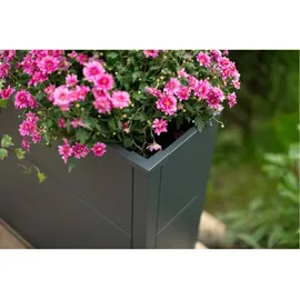 Westmann Talus XL Pflanzkübel 100 x 25 x 77 cm Anthrazit